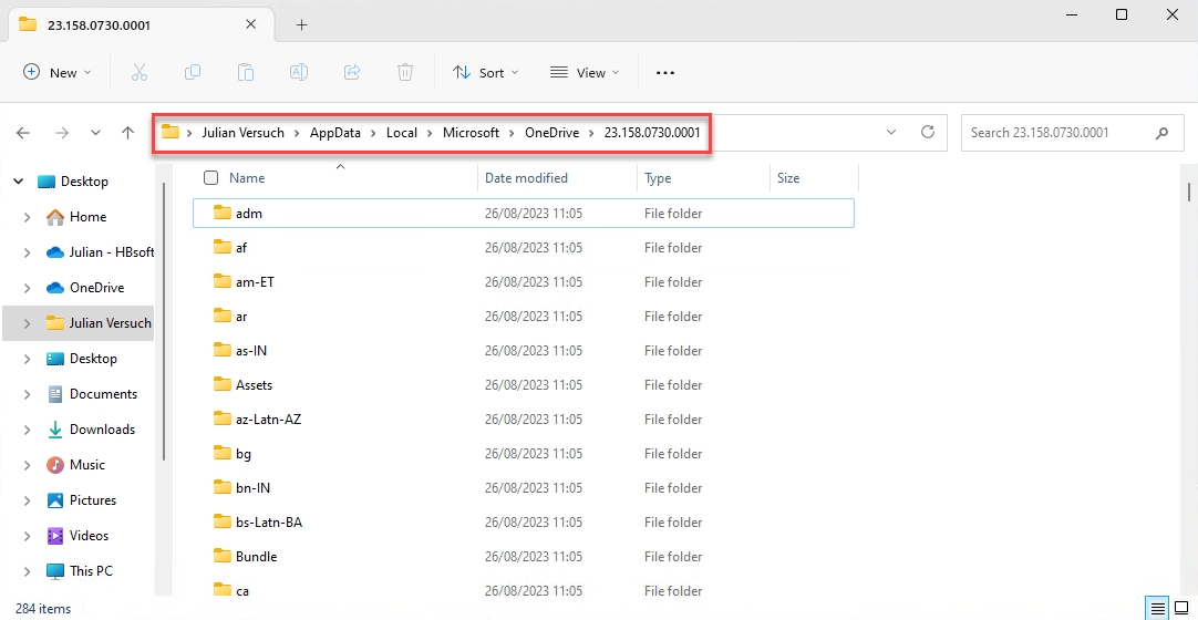 This screenshot shows the Explorer path for the programs and configuration files for OneDrive in the User directory.