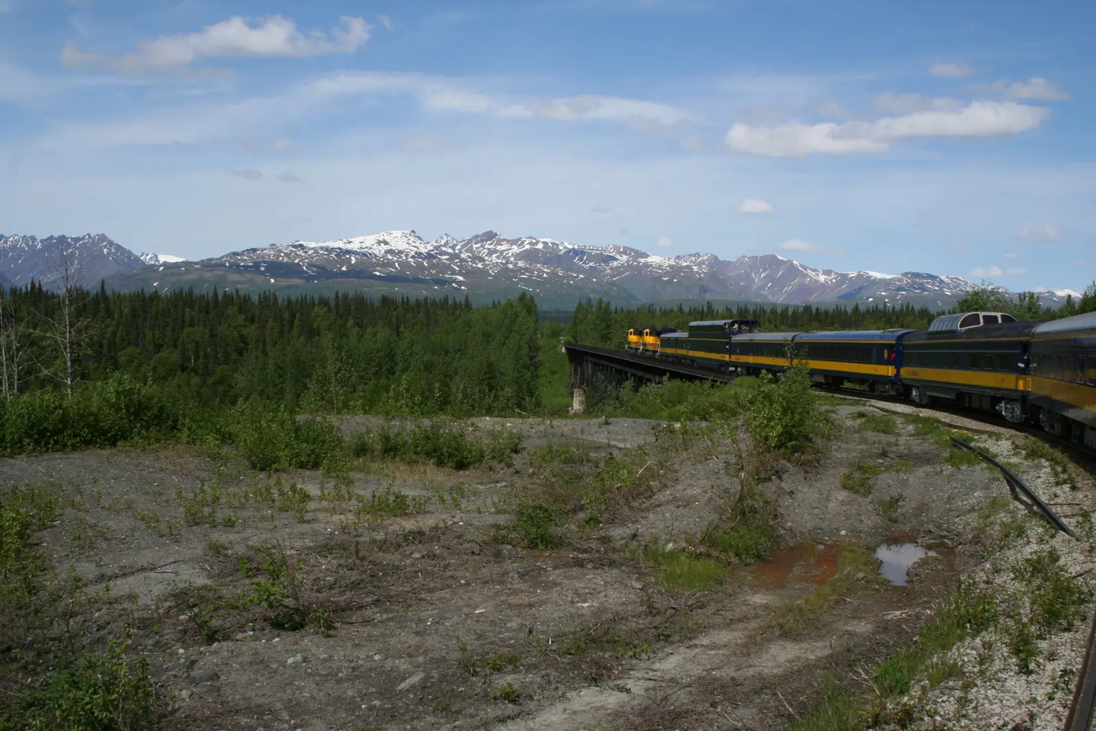 The blue-and-yellow cars of the Alaska Railroad curving across a bridge with snow-capped mountains in the distance