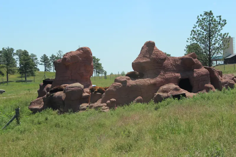 Two black bears lying on a sculpted red-rock den in a grassy enclosure at Bear Country USA, with ponderosa pines and a blue sky behind
