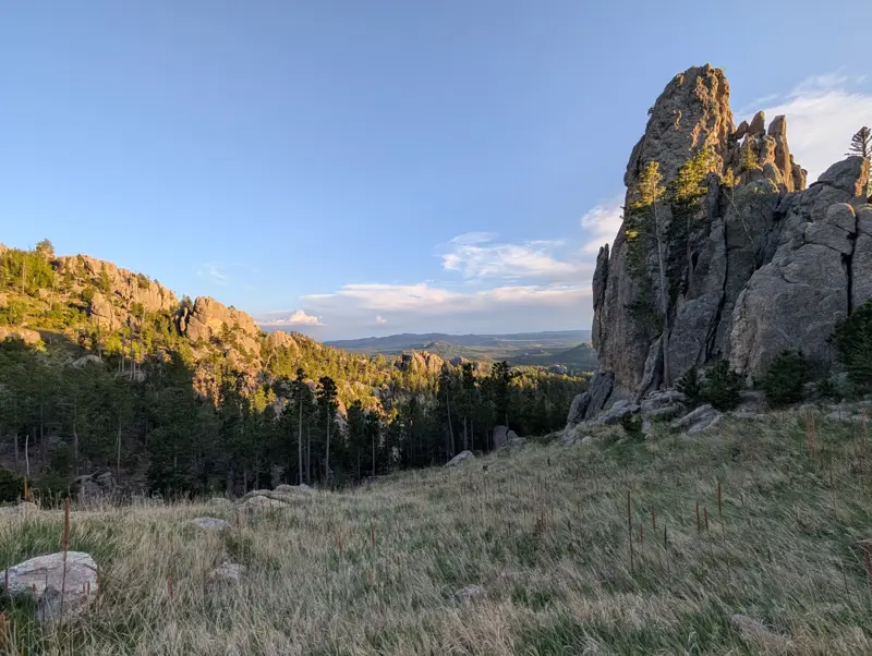 Granite spires catching evening light above a grassy meadow and pine forest along the Needles Highway, with rolling hills fading into the distance