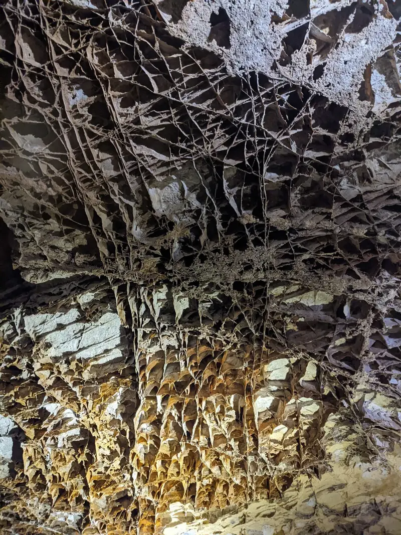 Close-up of a cave ceiling covered in boxwork: thin honeycomb-like calcite fins projecting from the rock, lit warm orange near the bottom