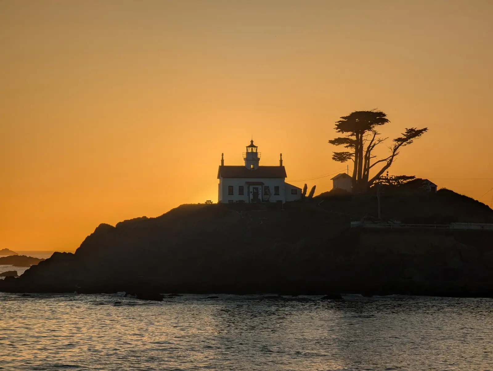 Battery Point Lighthouse and a windswept cypress silhouetted on a rocky islet against an orange sunset sky