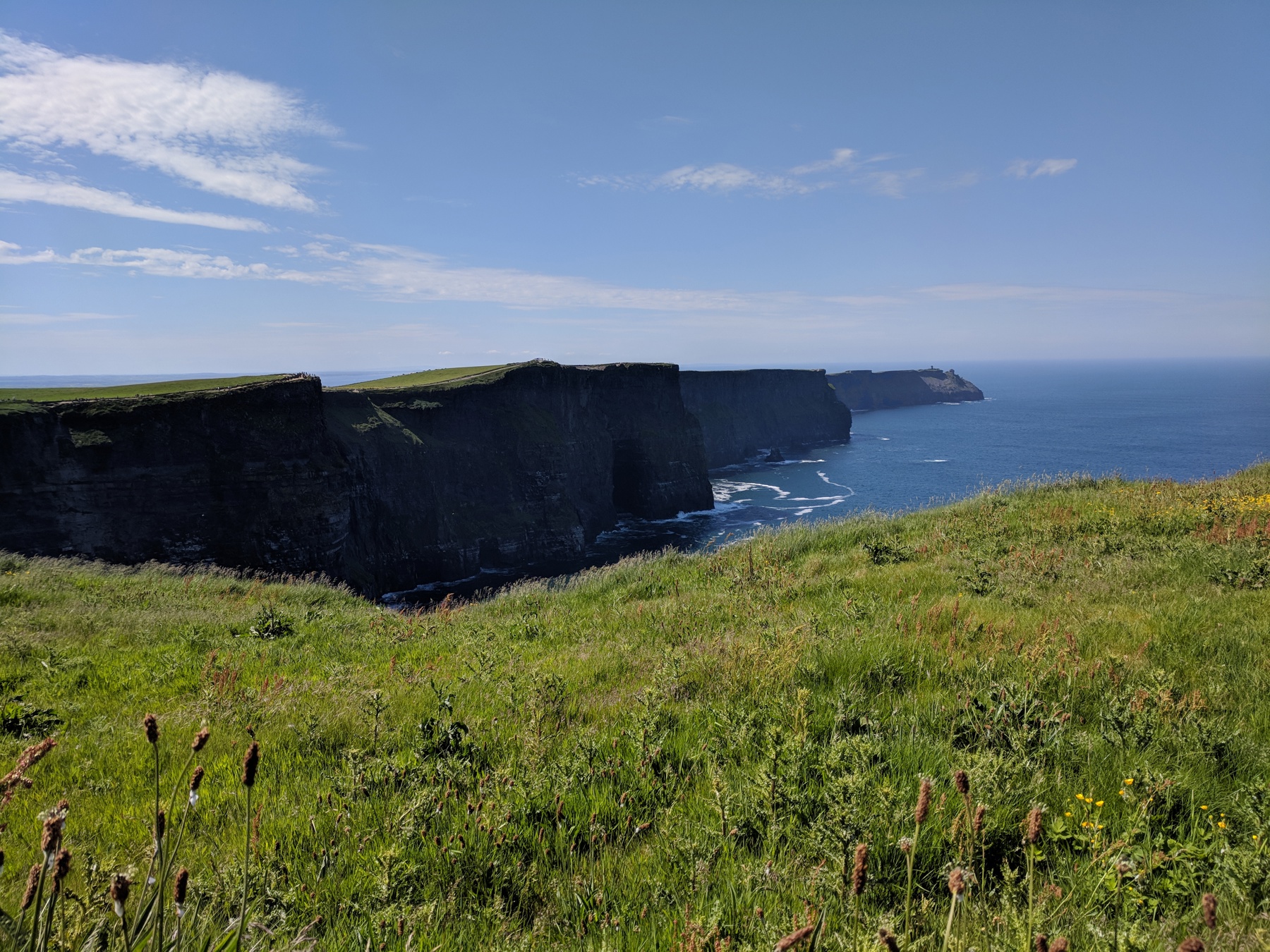 Long line of layered sea cliffs with a natural arch at their base, a headland with a small tower at the far end, and grass and wildflowers in the foreground