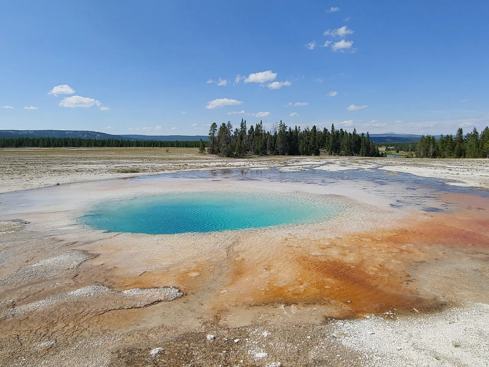 A turquoise hot spring ringed by white sinter and orange bacterial mats, with pine forest on the horizon