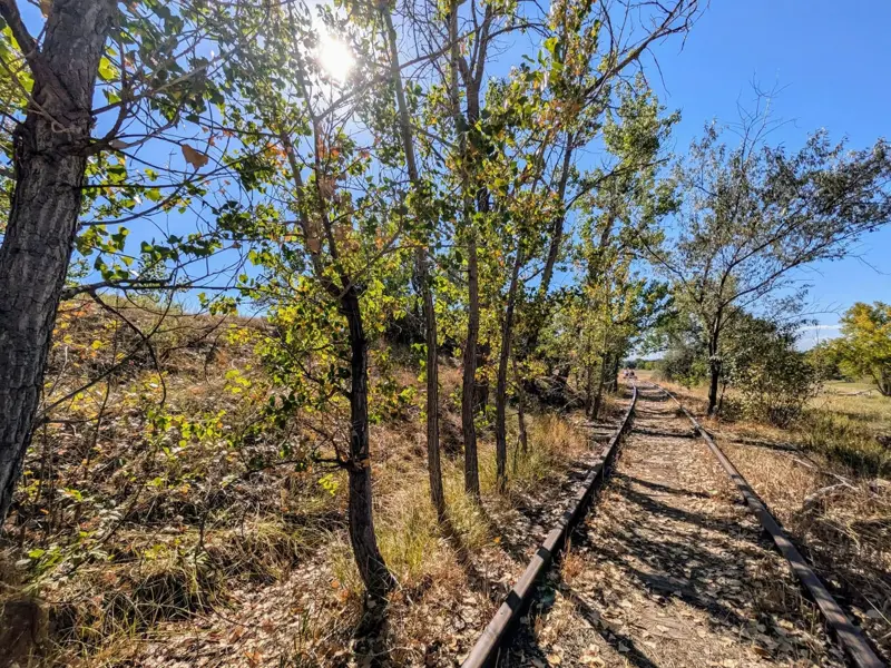 Rusty single track curving away through sunlit cottonwoods and tall dry grass with leaves scattered across the ties