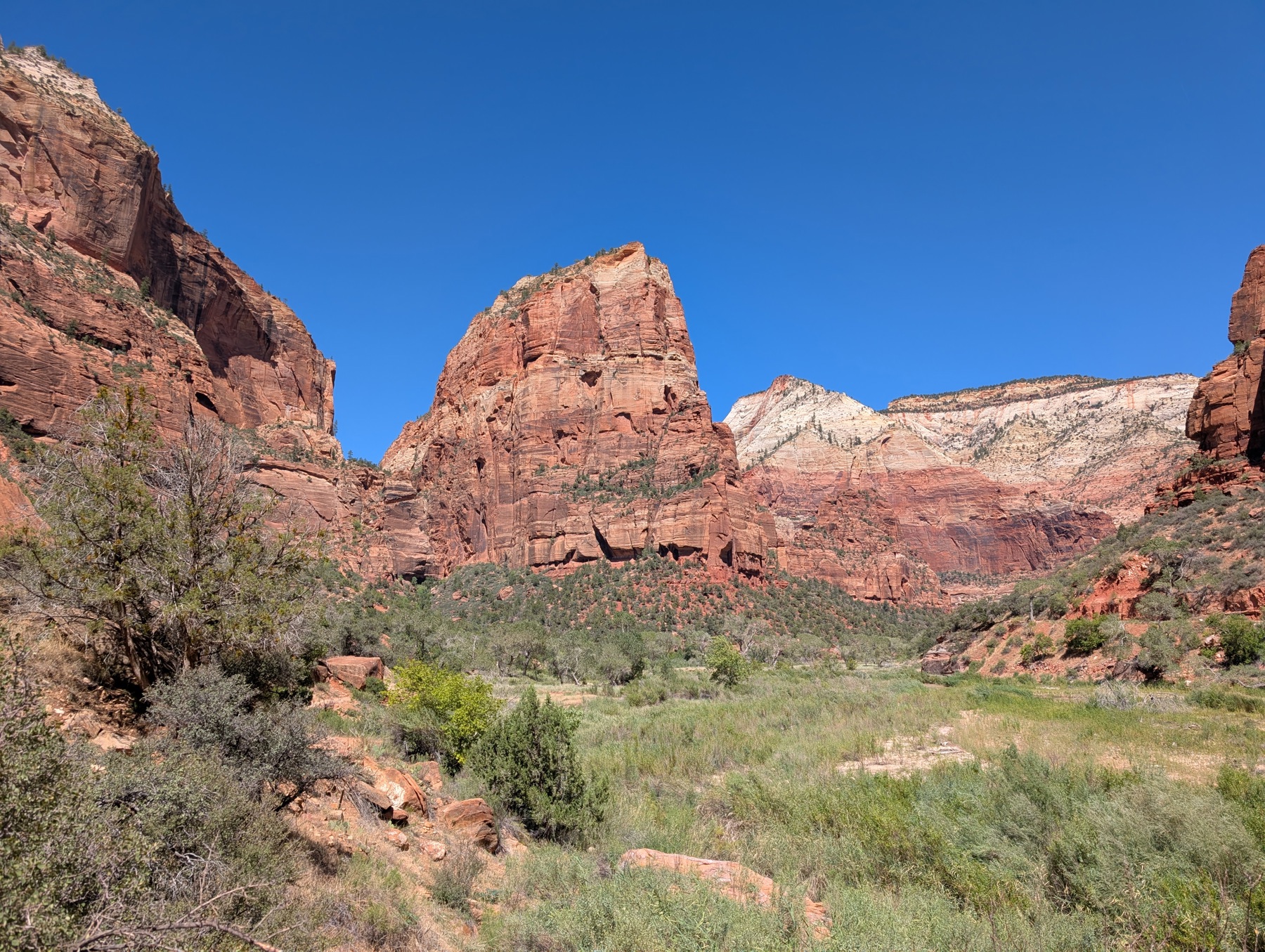 A red sandstone monolith rising from a brushy green canyon floor under a cloudless deep-blue sky