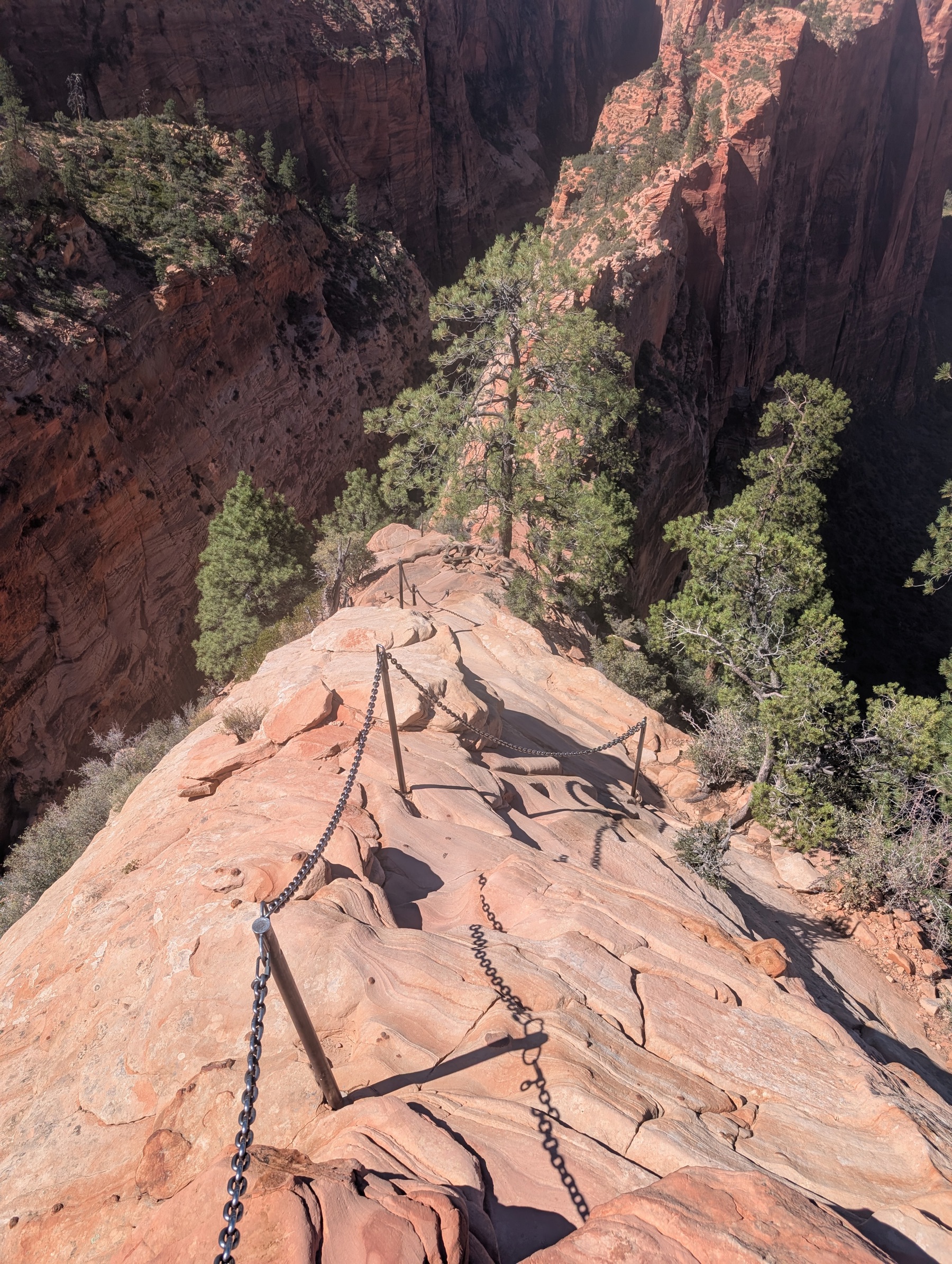 A narrow bare-rock ridge with chains between posts descending toward pine trees, deep canyons falling away on either side