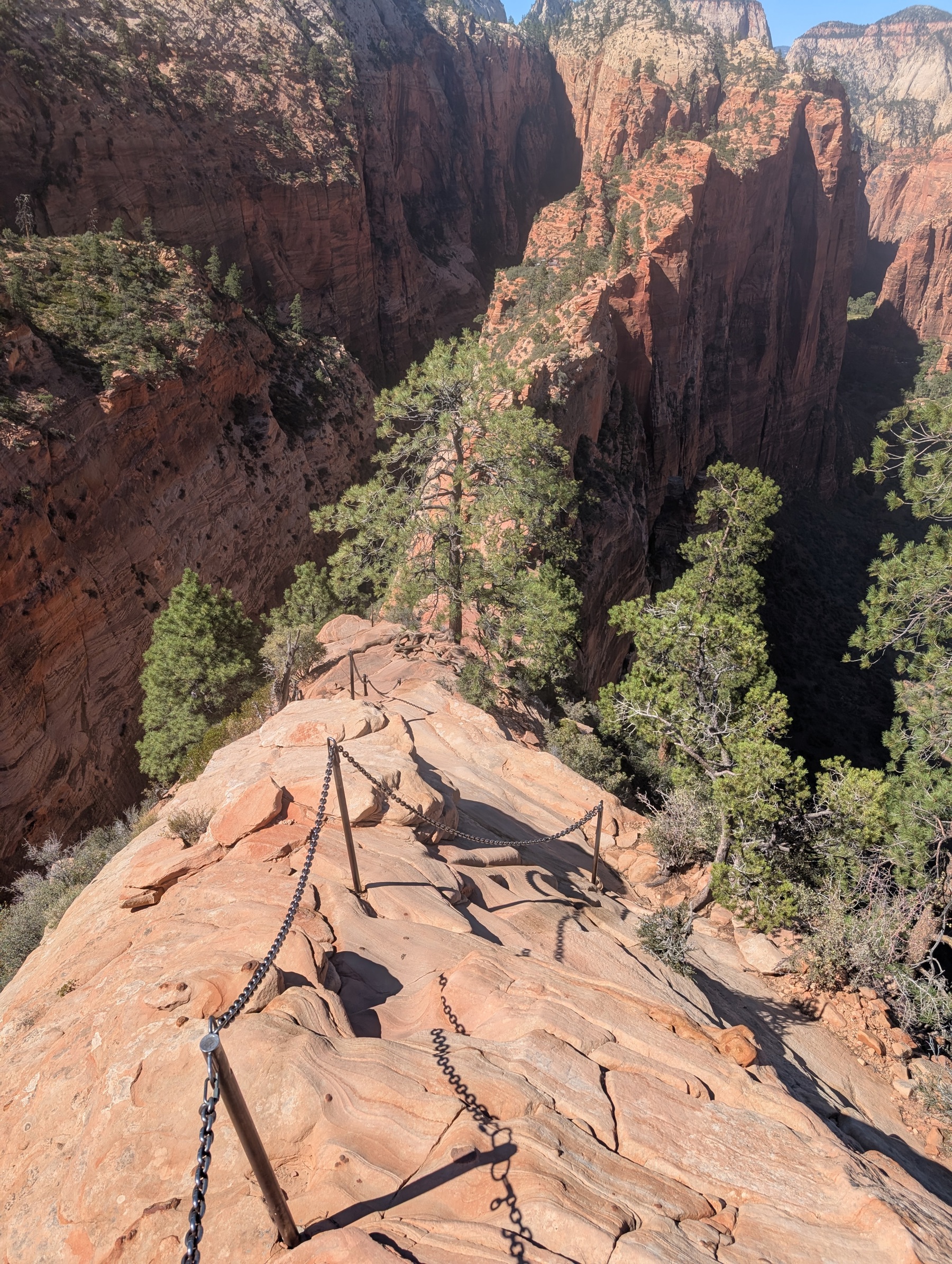 A chain handrail leading up a steep layered sandstone fin toward a tree-topped summit against a clear blue sky