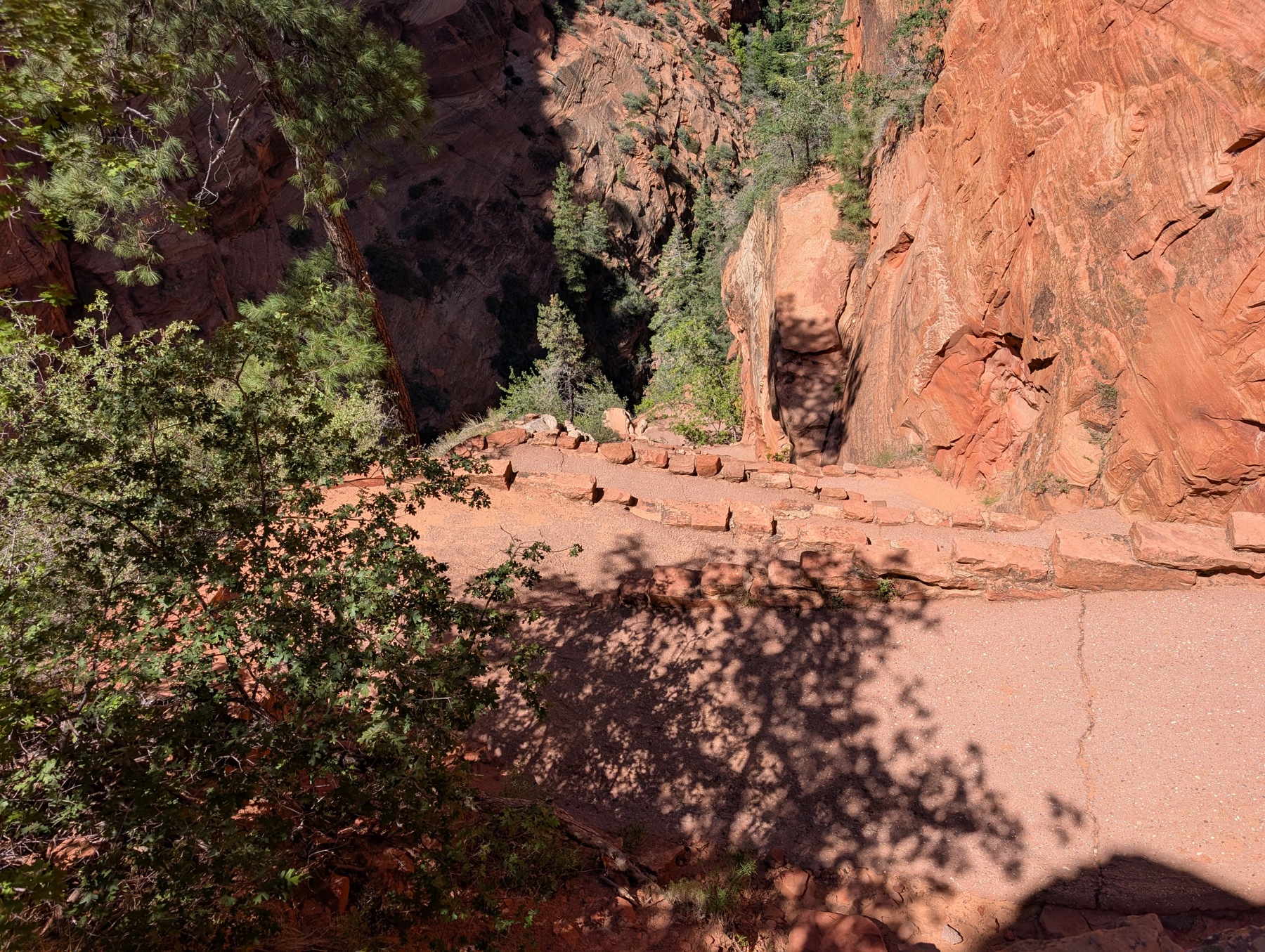 A stone-walled paved path switchbacking down between red cliffs and shaded pines