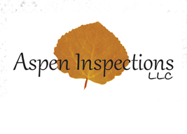 Aspen Inspection